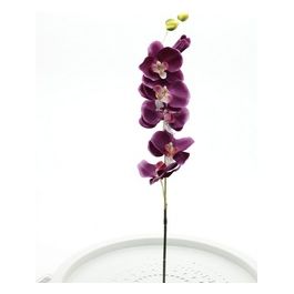 Orchidea in Plastica 81 cm Fucsia