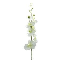 Orchidea in Plastica 90 cm Crema