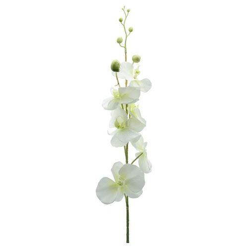 Orchidea in Plastica 90 cm Crema
