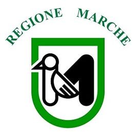 Bandiera Marche 30x45 35.422.02