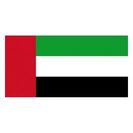 Bandiera Emirati Arabi Uniti 40 x 60 cm 35.434.03