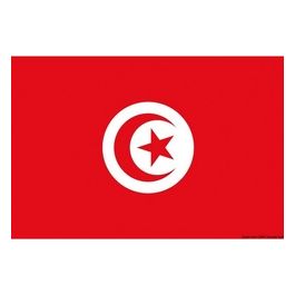 Bandiera Tunisia 40 x 60 cm 35.438.03