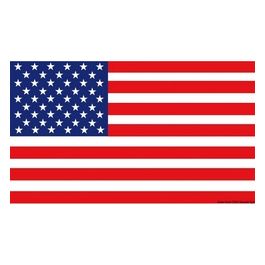Bandiera USA 20 x 30 cm 35.444.01
