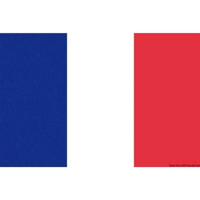 Bandiera Francia 20 X