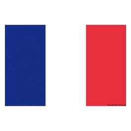 Bandiera Francia 50 x 75 cm 35.456.04