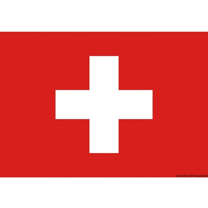 Bandiera Svizzera 20 X