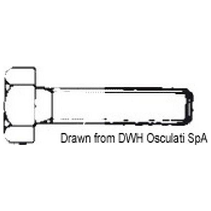 Image of Bullone esagonale 4X30 AISI 304 BULL4X30 A2-933-04X030