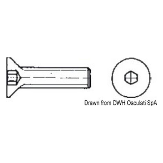 Image of Brugole 3x12 AISI 316 316.7991-3X12 A4-7991-03X012