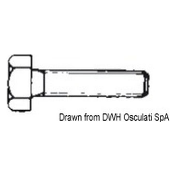 Bulloni 5x50 AISI 316 316.933-5X50 A4-933-05X050