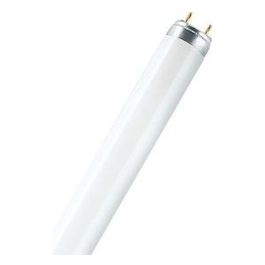 Tubo Fluorescente Lumilux T8 30w Bianco Freddo