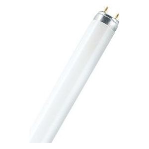 Osram Tubo Fluorescente Lumilux T8 30w Bianco Freddo