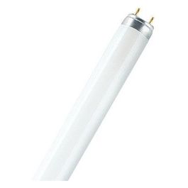 Tubo Fluorescente T5 8w/840 C5 Bianco Freddo