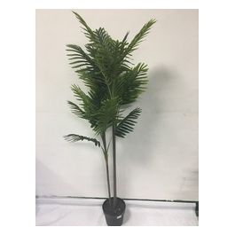 Palma artificiale in Vaso Nero 160 cm