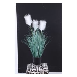 Pampas Artificiale Bianca in Vaso Nero