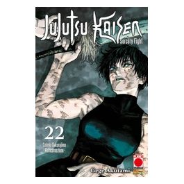 Jujutsu Kaisen Sorcery Fight Volume 22