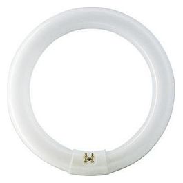 22W G10q Lampada Fluorescente Bianco Neutro