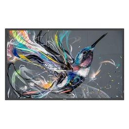 65BDL3550Q/00 Visualizzatore di Messaggi 65" Ips 4k Ultra Hd Android 8.0