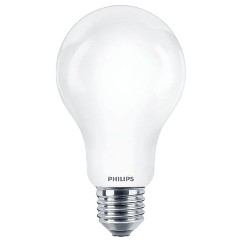 Philips Goccia Lampadina Led 120W e27 Luce Bianco Caldo