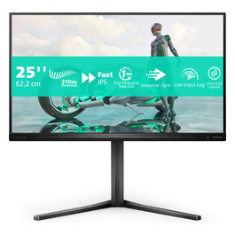 Philips, Monitor PC Evnia 3000 25M2N3200U, 24.5" Full HD LCD, Grigio