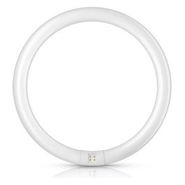 TL-E Super 80 928026384074 Lampada Fluorescente 32W G10Q Bianco Freddo