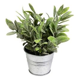 Pianta Grassa in Vaso di Latta 16X19 cm