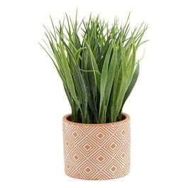 Piantine Assortite in Vaso Di Terracotta 10X9 cm