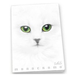 Confezione 10 Pezzi Maxi MonoCromo White 4m A4 100gr