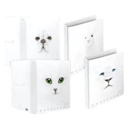 Confezione 5 Raccoglitori 30mm Fantasia White