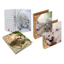 Confezione 5 Raccoglitori ad Anelli A4 27x32cm