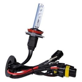 Pilot 12/24V Lampadina HID Xenon 8.000K - H9 - 1 pz - Scatola