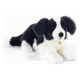 PLUSH-COMPANY Boronoff Border Collie l.45 cm