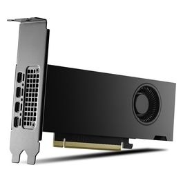 PNY Scheda Grafica 16GB RTX 2000 Ada 4x mDP LP Smallbox (without Adapter)