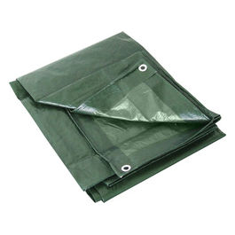 Telone Occhiellato 180g Verde Dimensioni 6x10m per Copertura e Protezione Resistenti