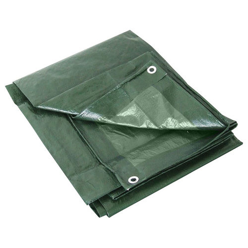 Telone Occhiellato 180g Verde Dimensioni 6x10m per Copertura e Protezione Resistenti