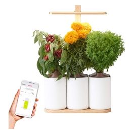 Lilo Connect Edition con 3 Pots 5 Pods