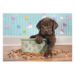 Puzzle 180 Pz - Cucciolo