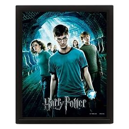 Quadro 3d Harry Potter Fenice