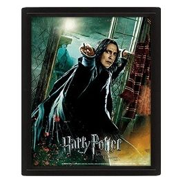 Quadro 3d Harry Potter Snape