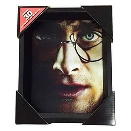 Quadro 3d Harry Potter Voldemort