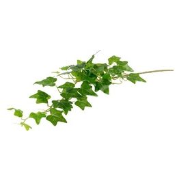 Ramo di Edera Rampicante Real Touch in Plastica 72 cm Verde