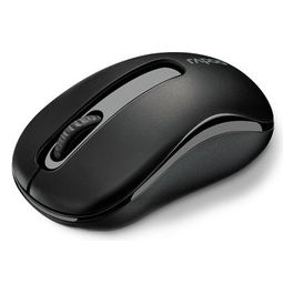 Rapoo M10 Plus Mouse Ottico Wireless, 2.4 GHz, 2D, 1000 dpi, 3 Tasti, Nero