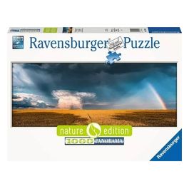 Ravensburger Puzzle da 1000 Pezzi Panorama Campi Dopo la Tempesta