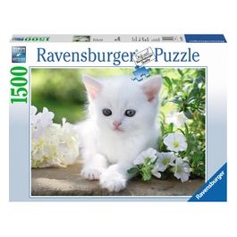 Ravensburger Puzzle 1500 Pezzi Gattino Bianco