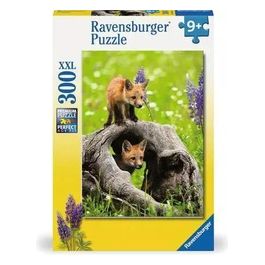 Puzzle da 300 Pezzi Xxl - Volpe Curiosa