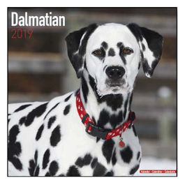 Calendari con cani da caccia 30,5 x 30,5 cm 