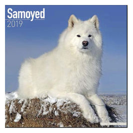 Calendari con cani da compagnia taglia mediagrande 30,5 x 30,5 cm 