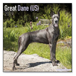 Calendari con cani da guardia e da difesa 30,5 x 30,5 cm 