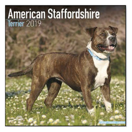 Calendari con cani da guardia e da difesa 30,5 x 30,5 cm 