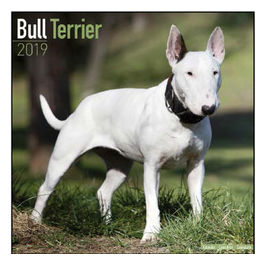 Calendari con cani da guardia e da difesa 30,5 x 30,5 cm 