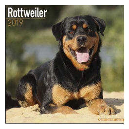 Calendari con cani da guardia e da difesa 30,5 x 30,5 cm 